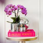 Kolibri Orchids | COMBI DEAL van 2 Phalaenopsis orchideeën -, Verzenden