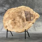 -C- Prachtig stuk versteend hout op een aangepaste standaard, Antiek en Kunst