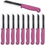 Solingen Kartelmes – Tomatenmes met Kartel – RVS – 18,, Huis en Inrichting, Keuken | Bestek, Ophalen of Verzenden, Nieuw, Rvs of Chroom