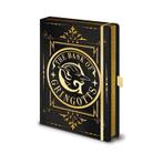Harry Potter (Gringotts) Premium A5 Notebook, Verzamelen, Harry Potter, Nieuw, Overige typen, Ophalen of Verzenden