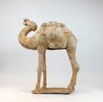 Oud Chinees, Tang-dynastie Terracotta Massieve Geschilderde