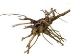 Driftwood Selected DW28 - 40x30x15cm (Small drift wood), Dieren en Toebehoren, Vissen | Aquaria en Toebehoren, Ophalen of Verzenden