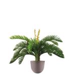 Cycas kunstplant, H70cm, Huis en Inrichting, Kamerplanten, Ophalen of Verzenden