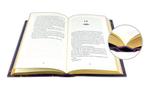 Violet, vervloekt & verwoest, Boeken, Ophalen of Verzenden, Nieuw