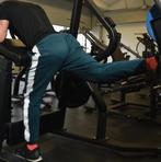 Toorx Professional FWX-4600 Aktiv Gluteus Machine, Verzenden, Nieuw