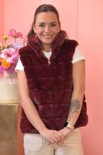 Teddy bodywarmer bordeaux, Ophalen of Verzenden, Nieuw