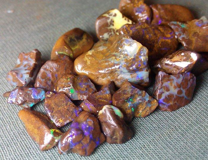 47,4 ct - Australian Boulder Opal Rough - Multikleuren!- 9.5, Verzamelen, Mineralen en Fossielen
