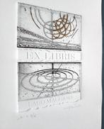 Walter Valentini (1928) - Lago maggiore