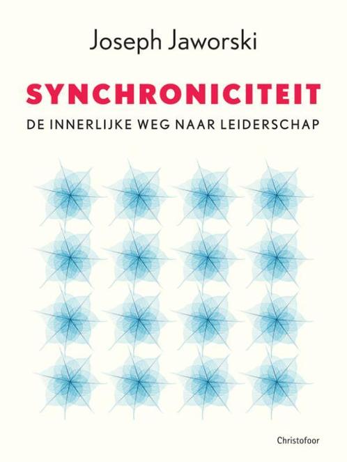 Synchroniciteit 9789060384626, Boeken, Schoolboeken, Zo goed als nieuw, Verzenden
