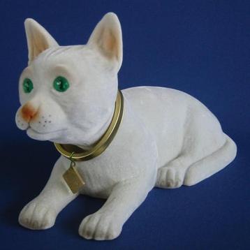 Witte kat voor hoedenplank