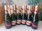 G.H Mumm cordon rouge brut - box - Champagne - 6 Flessen, Nieuw