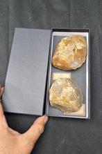 . Prehistorie Paleolithicum - 1 biface en 1 harde hamer uit, Antiek en Kunst