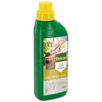 Pokon orchidee voeding (500 ml), Verzenden, Nieuw