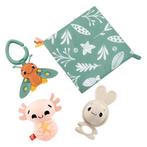 Nieuw Fisher Price Zoveel Zintuigen Cadeauset, Ophalen of Verzenden, Nieuw