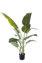 Kunstplant Strelitzia 180 cm, realistisch aanvoelend, Verzenden, Nieuw