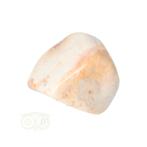 Fossiel Koraal trommelsteen Nr 24 - 27 gram, Nieuw, Verzenden