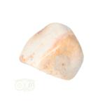 Fossiel Koraal trommelsteen Nr 24 - 27 gram, Verzenden, Nieuw