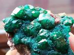 dioptase Kristalcluster - Hoogte: 5 cm - Breedte: 4 cm- 39 g, Verzamelen