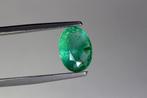 Smaragd - 1.58 ct - International Gemological Institute, Nieuw