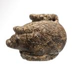 Oude Egypte, late periode Serpentine Cosmetische Egel-Vaas