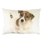 canvas kussen pup jack russel 35x50cm, Huis en Inrichting, Verzenden, Nieuw