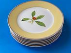 Richard Ginori - botanico - Eetservies voor 6 (6) -