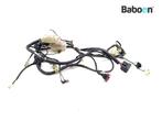 Kabelboom Honda FES 150 Pantheon 1998-2001 (FES150 KEY), Verzenden, Gebruikt