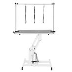 Monster Shop Wit/Grijs Professionele Hond Trimtafel, Verzenden, Nieuw