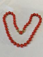 Halsketting - 18 karaat Geel goud Bloedkoraal - Bloedkoraal, Sieraden, Tassen en Uiterlijk, Kettingen, Nieuw