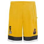 Los Angeles Lakers Lebron James Short Geel Maat M