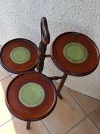 Plantentafel - Hout, Mahonie - binnenkant