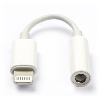 Lightning naar mini jack | Apple Origineel | 10 centimeter, Telecommunicatie, Mobiele telefoons | Toebehoren en Onderdelen, Nieuw