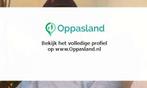 Ik ben Thijmen, 20 jaar oud en ik zoek oppaswerk in Amste..., Nieuw