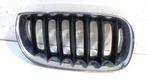 Grillerooster rechts BMW X3  3.0d 340291002, Ophalen of Verzenden, Gebruikt, BMW