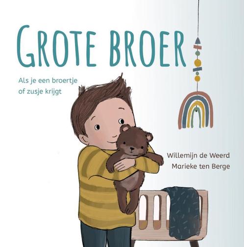 Grote broer 9789033835551 Willemijn de Weerd, Boeken, Overige Boeken, Zo goed als nieuw, Verzenden
