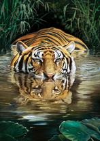 Kunstdruk Renato Casaro - Bamboo 50x70cm, Huis en Inrichting, Woonaccessoires | Schilderijen, Tekeningen en Foto's, Verzenden