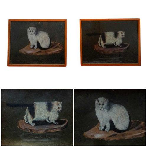 Spaanse school (XIX) - Gato de anchara, Antiek en Kunst, Kunst | Schilderijen | Klassiek