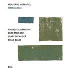 LP gebruikt - Wolfgang Muthspiel - Rising Grace, Verzenden, Zo goed als nieuw
