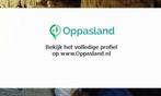 Fabian zoekt een oppas in Leeuwarden voor 1 kind op donde...