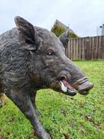 Beeld, XL Wild Boar 150cm - 92 cm - Hars