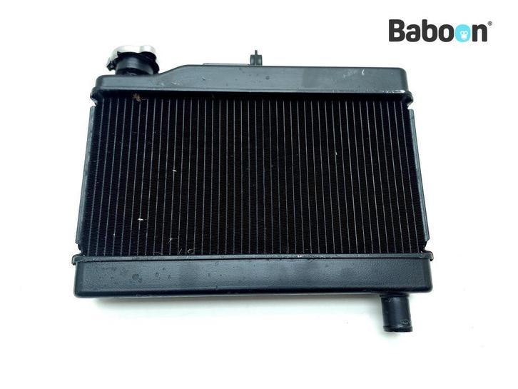 Radiateur Honda CMX 500 Rebel 2020-2023 (CMX500 PC56), Motoren, Onderdelen | Honda, Gebruikt, Verzenden