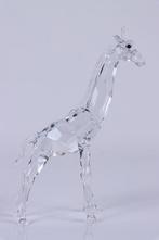 Figuur - Swarovski - Giraffe (Boxed) - Kristal
