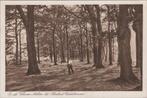 UDDEL - Op de Veluwe - Achter het Theehuis Uddelermeer, Verzamelen, Ansichtkaarten | Nederland, Verzenden, Gelopen