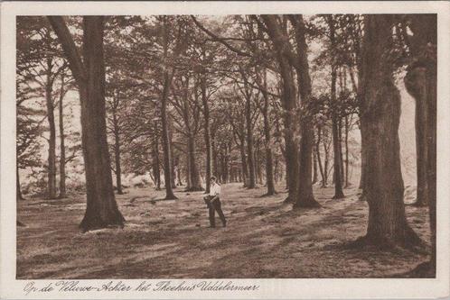 UDDEL - Op de Veluwe - Achter het Theehuis Uddelermeer, Verzamelen, Ansichtkaarten | Nederland, Verzenden