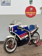 Suzuki - GSX-R 750 Limited Edition - Racing - 750 cc - 1986