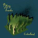 cd - Palaxy Tracks - Cedarland, Cd's en Dvd's, Verzenden, Zo goed als nieuw