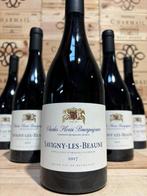 2017 Domaine de Charles Henri Bourguignon - Savigny lès, Nieuw