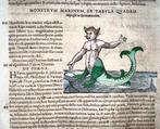 Conrad Gesner [Konrad Gessner] 1516-1565: Fish: Sea Monster