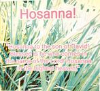 Ansichtkaart Hosanna, Verzamelen, Ansichtkaarten | Themakaarten, Verzenden, Ongelopen, Feest(dag)