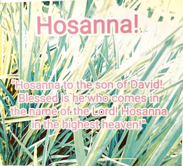 Ansichtkaart Hosanna beschikbaar voor biedingen